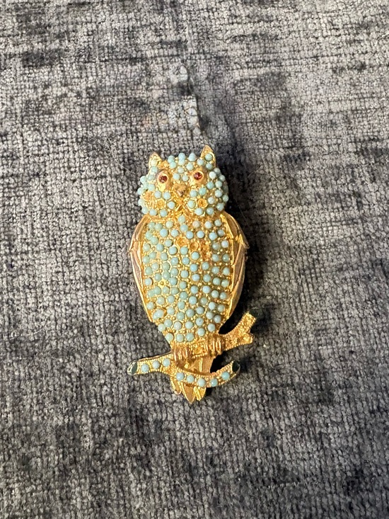 Jewelry - 🦖 5 for $20 | Gold Owl Brooch with Light Blue beads-several missing